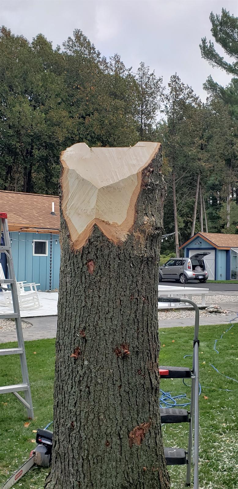 Early carving on October 14