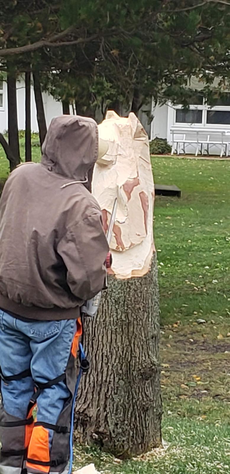 Todd Bredin roughing the bear's head from the stump
