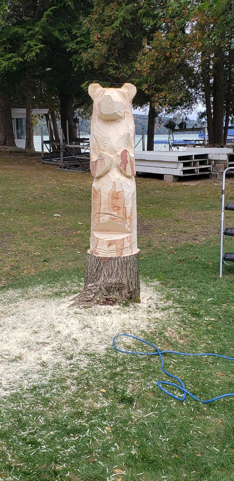 The bear taking shape on October 15