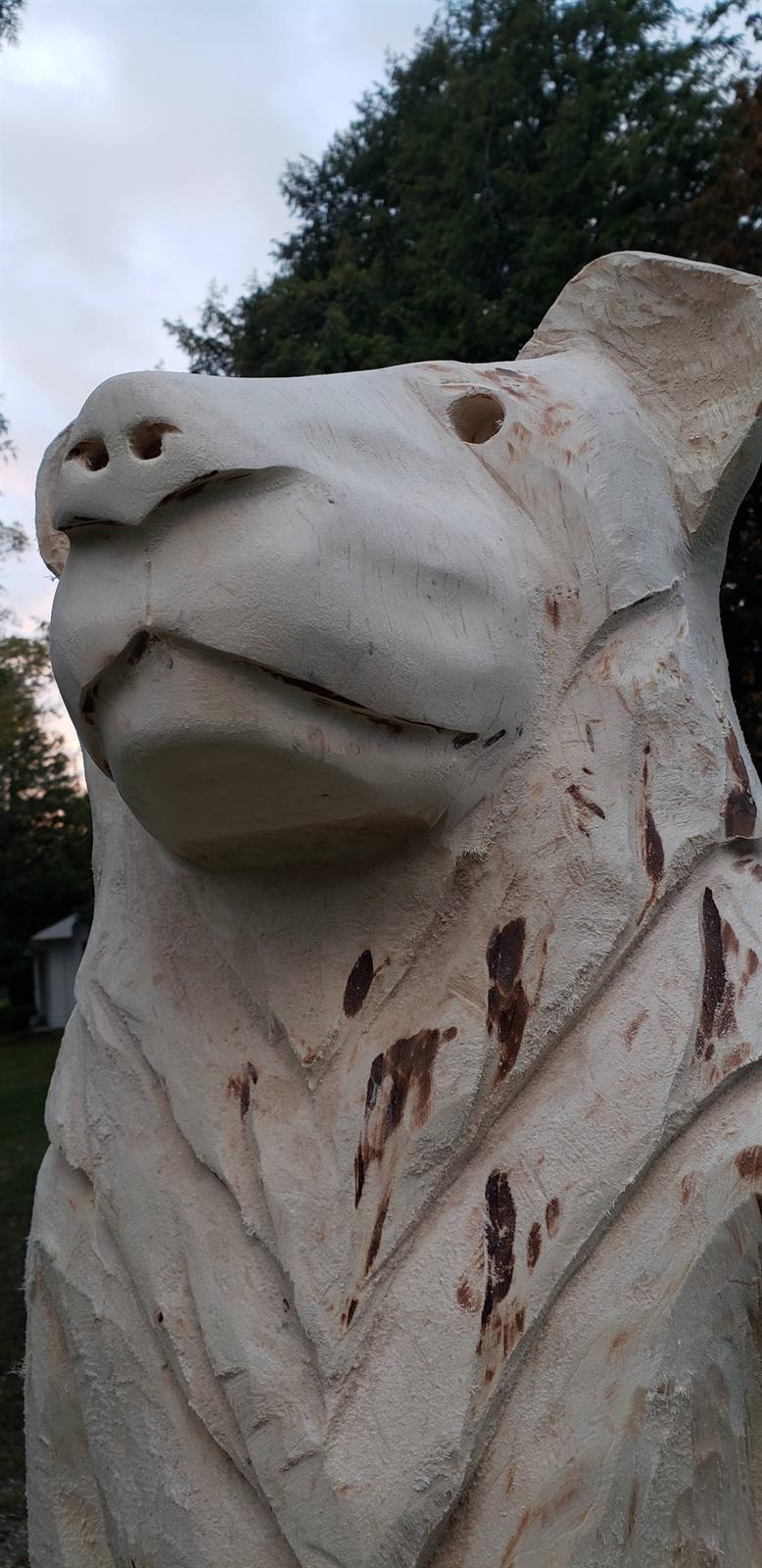 Close view of the unfinished pale-wood bear face