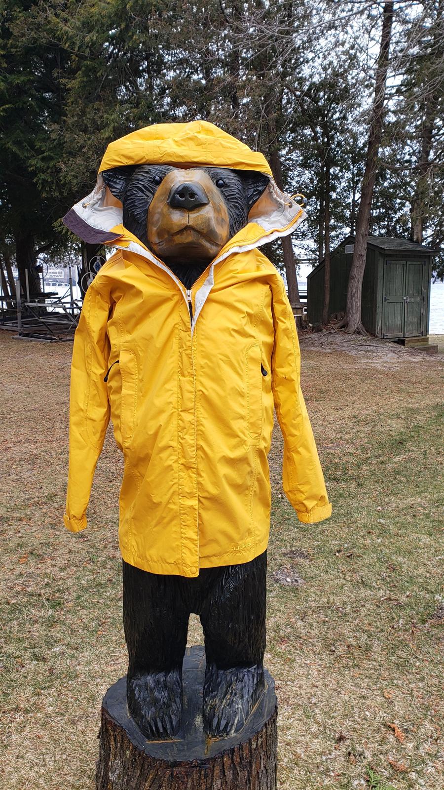 Baron the Bear wearing a yellow raincoat