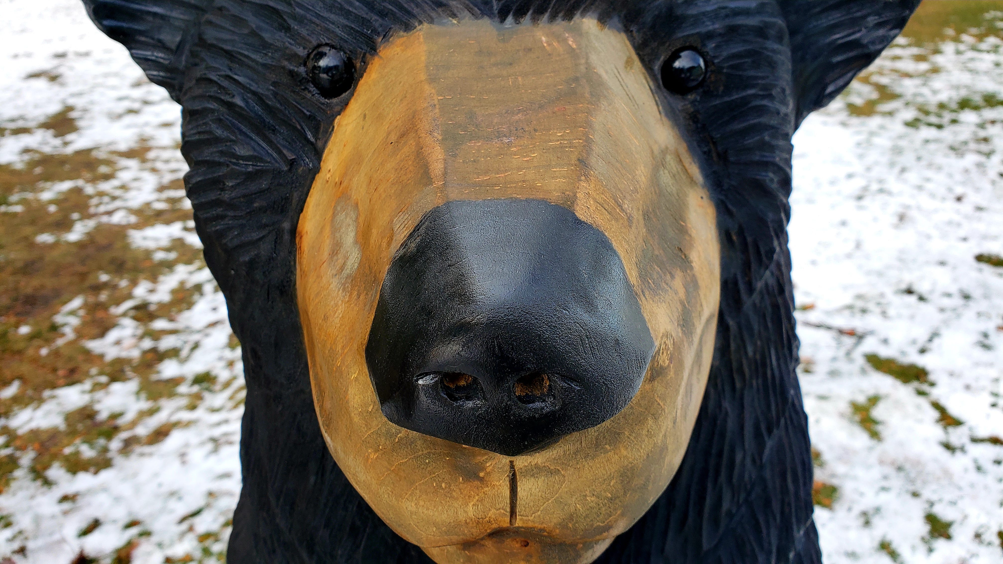 Close view of Baron the Bear's finished face
