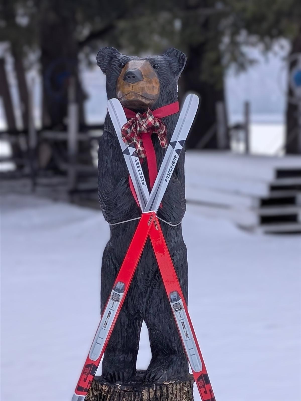 Baron the Bear in the snow with crossed skis